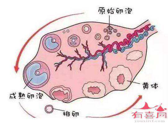 广州哪里有不孕不育助孕,阿司匹林的适用层面