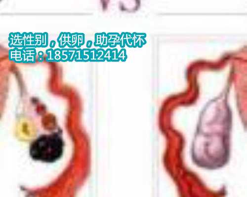 广州试管代生多少钱,1广东省妇幼保健院知名试管婴儿医生