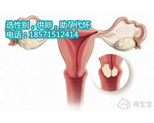 广州正规合法代孕,1贵州试管婴儿纳入医保了吗