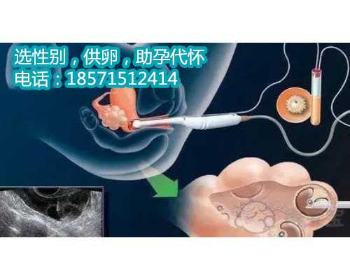 广州哪里有借卵生子医院,三胎社会抚养费征收对象
