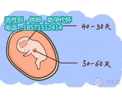 深圳市妇幼保健院三代试管婴儿生育男孩费用大揭秘