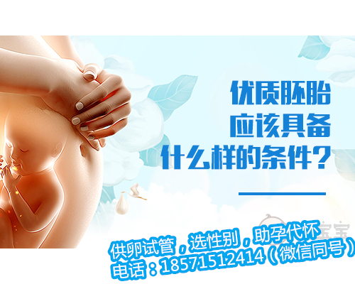 广州供卵试管公司哪家比,深圳生育险报销网上办理流程有哪些