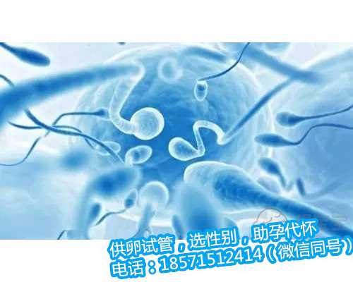 广州哪里代生最便宜,立生素对试管移植的作用