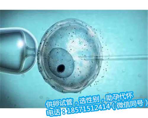广州供卵试管排行榜,2022上海东方医院试管婴儿费用明细：