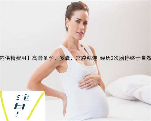 【国内供精费用】高龄备孕、多囊、宫腔粘连 经历2次胎停终于自然怀孕