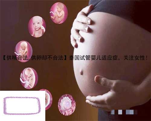 【供精合法,供卵却不合法】泰国试管婴儿适应症，关注女性！